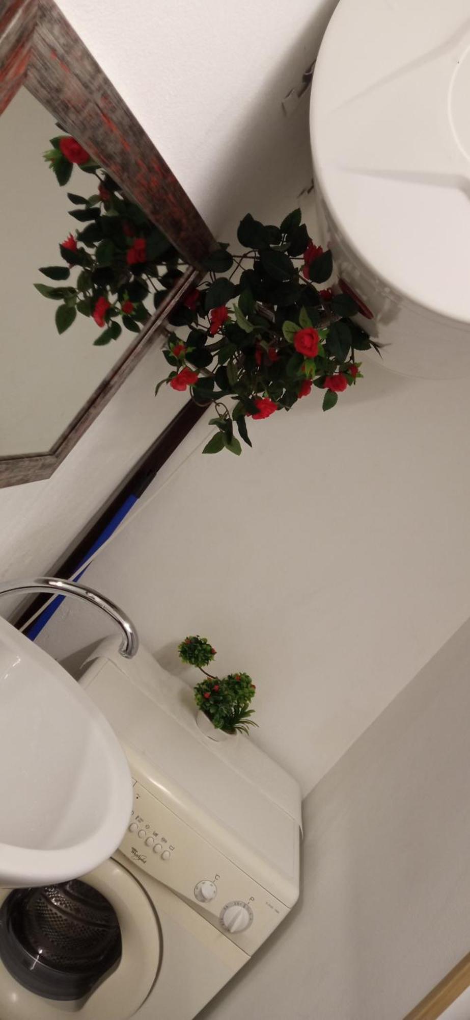 Varna Studio 1 מראה חיצוני תמונה